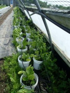 Cardwell-Farms-Compost-Products-New-Brunswick-donation-rotated