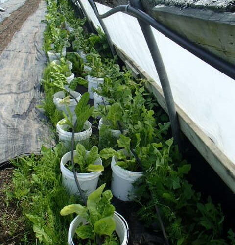 Cardwell-Farms-Compost-Products-New-Brunswick-donation-rotated